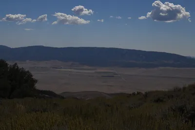 DSC_2276 (Large).JPG